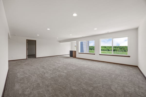 Finished lower level in Cedar Rapids, Iowa